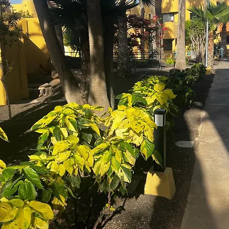 Casafelix Apartmán